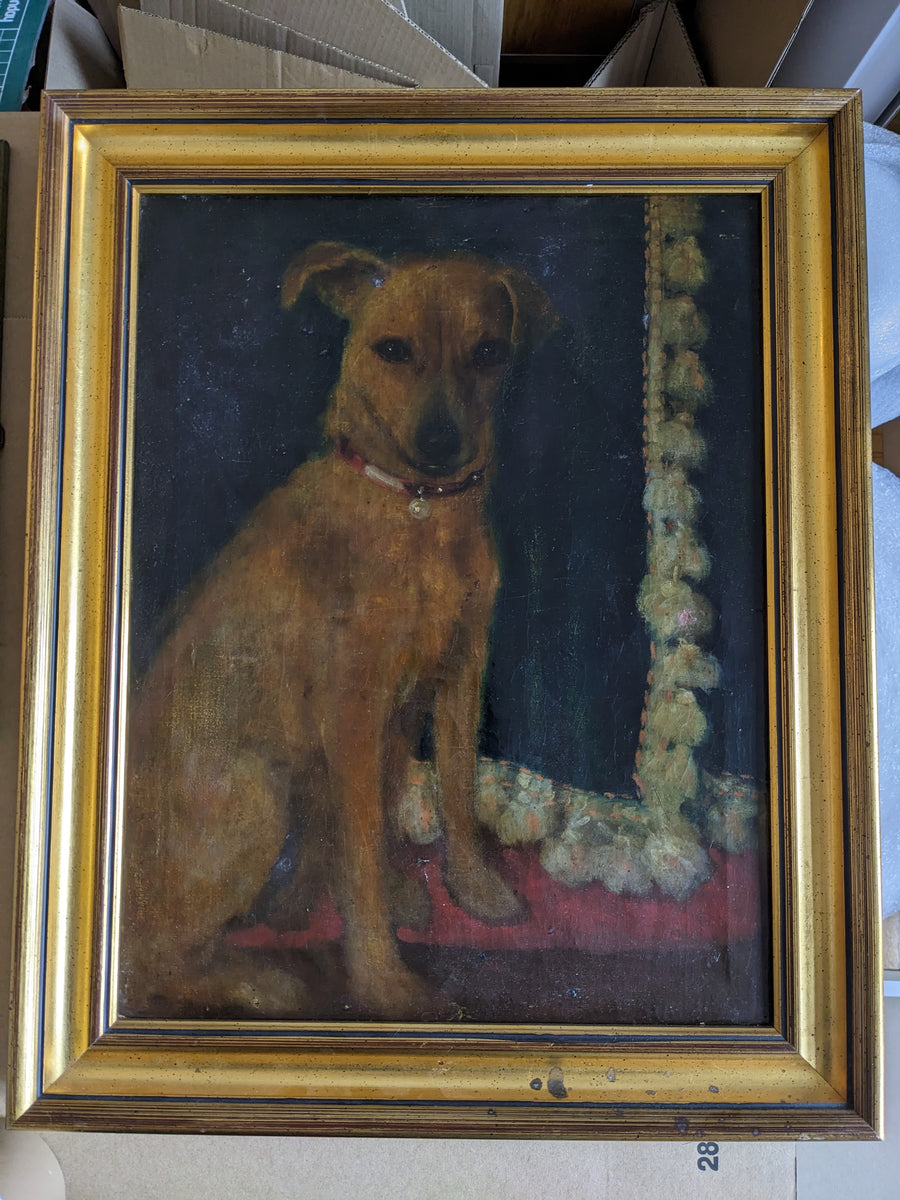 dog dark portrait oil on canvas framed