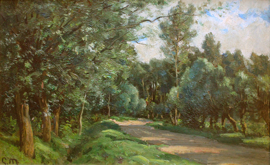 Chemin Arboré